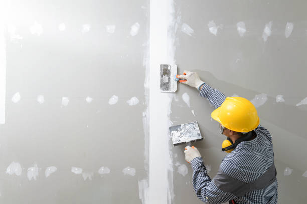 Best Mold Documentation for Insurance Claims  in Mitchellville, MD