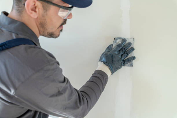 Best Mold Prevention Services  in Mitchellville, MD