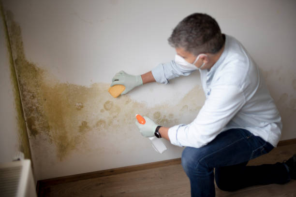 Best Airborne Mold Testing  in Mitchellville, MD