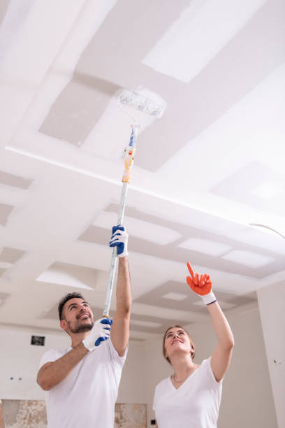 Best Mold Odor Removal Services  in Mitchellville, MD