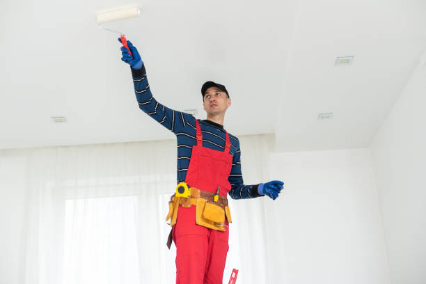 Best Emergency Mold Remediation  in Mitchellville, MD