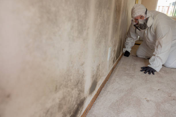 Best Air Quality Testing for Mold Spores  in Mitchellville, MD