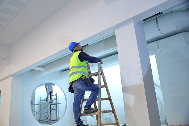 Best Mold Damage Restoration  in Mitchellville, MD